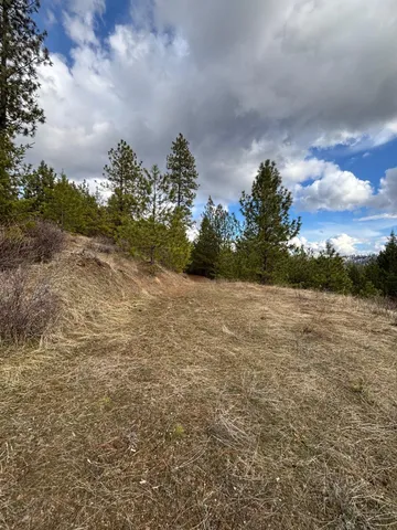 $89,000 | 4-xxx Ali Vista Way, Loon Lake, WA 99148