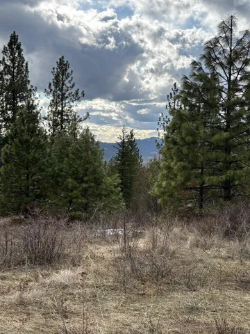 $89,000 | 4-xxx Ali Vista Way, Loon Lake, WA 99148