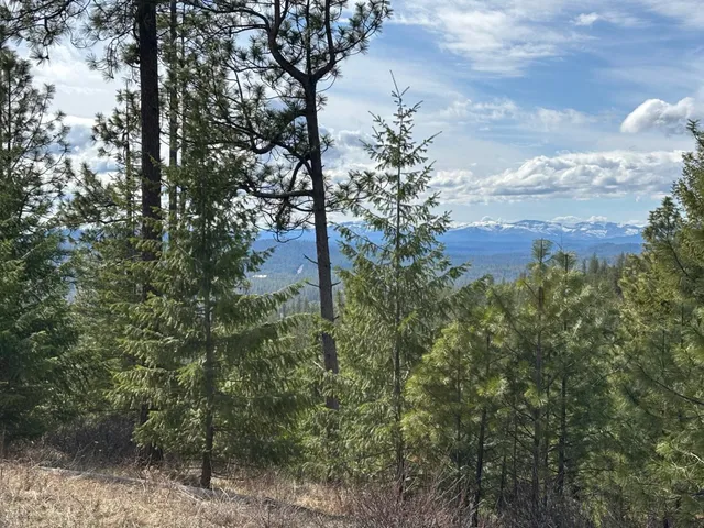 $89,000 | 4-xxx Ali Vista Way, Loon Lake, WA 99148