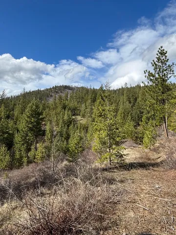 $89,000 | 4-xxx Ali Vista Way, Loon Lake, WA 99148