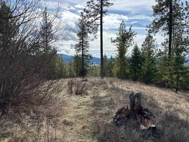$89,000 | 4-xxx Ali Vista Way, Loon Lake, WA 99148