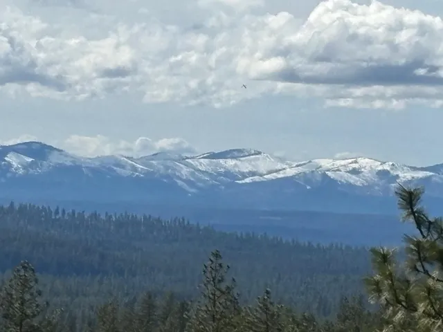 $89,000 | 4-xxx Ali Vista Way, Loon Lake, WA 99148