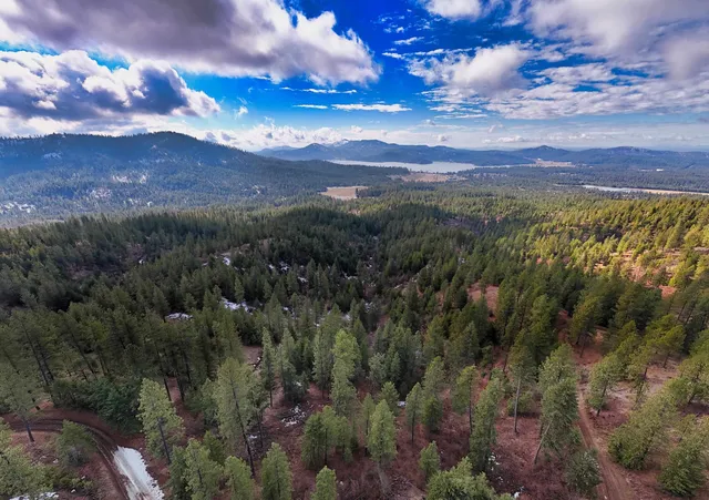 $89,000 | 4-xxx Ali Vista Way, Loon Lake, WA 99148