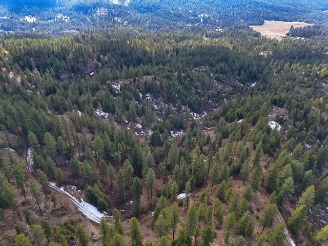 $89,000 | 4-xxx Ali Vista Way, Loon Lake, WA 99148