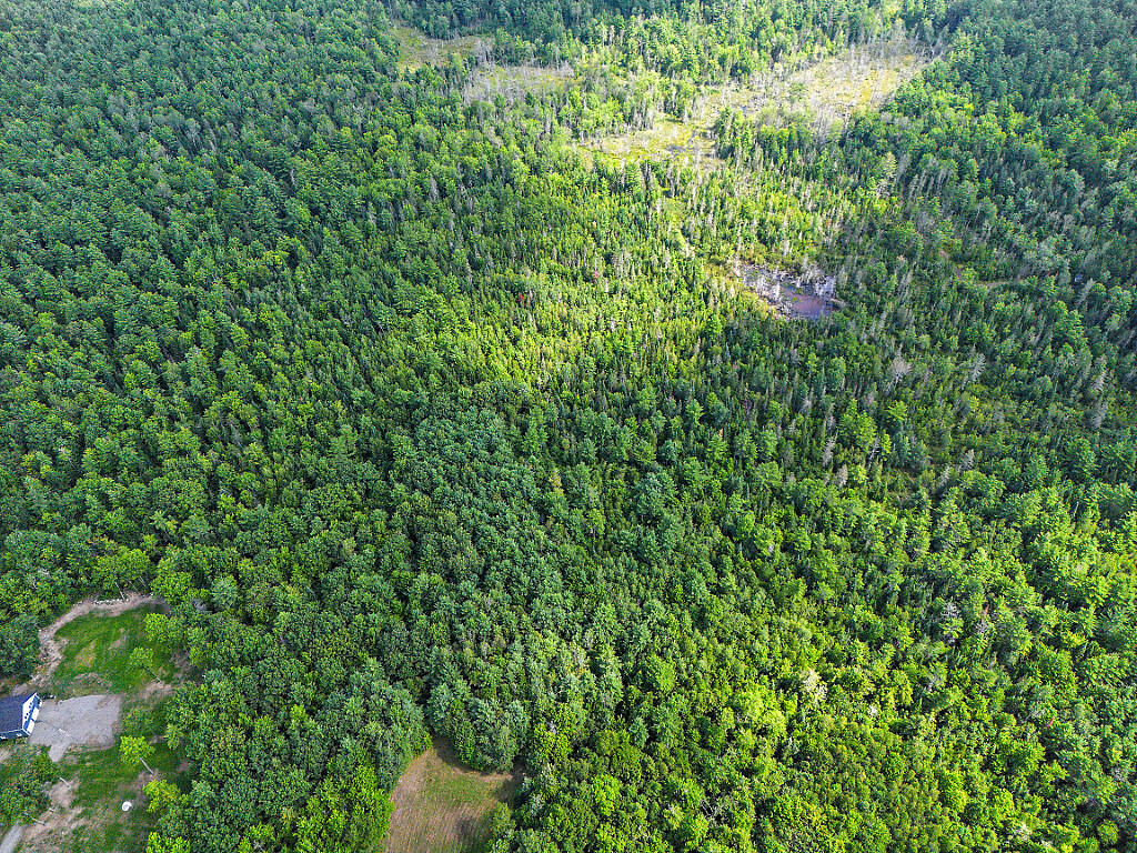 682 Bog Road Albion, ME 04910 - Photo 25 of 26 DJI_0228_DxO