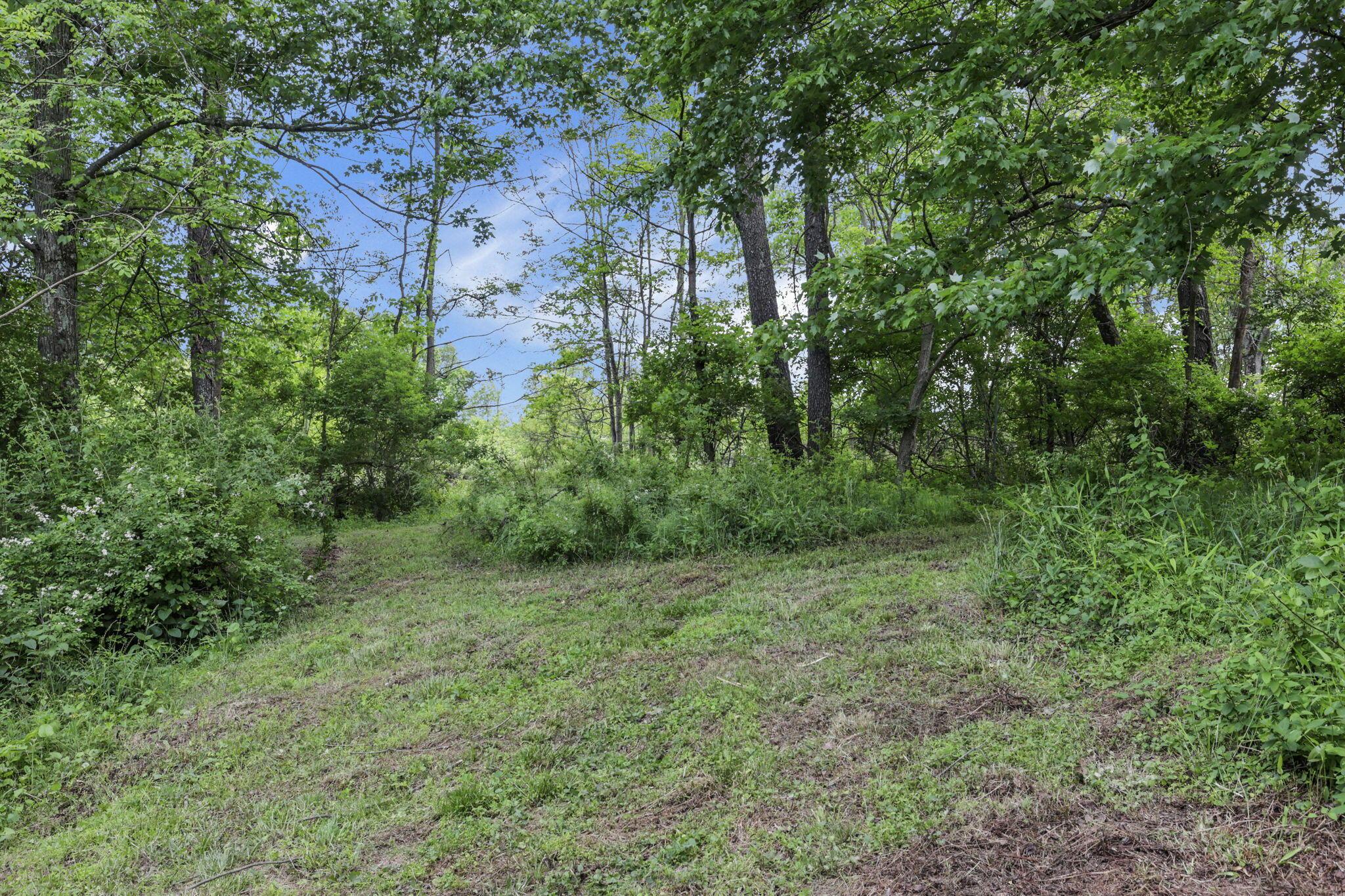 4287 Dragoo Road Nashport, OH 43830 - Photo 45 of 48