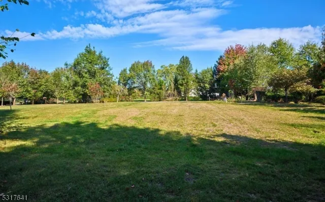 a view of a green field with sunset in the background