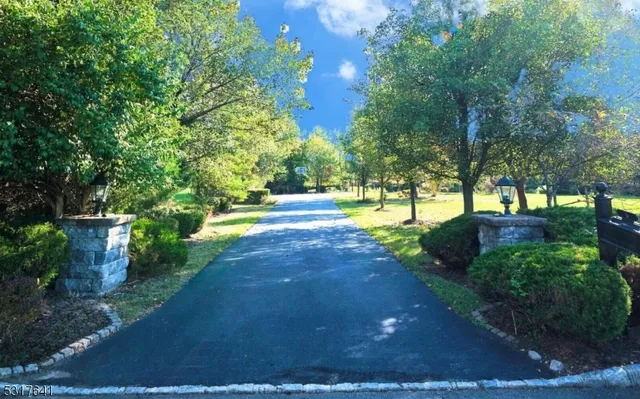 a view of yard with tree s