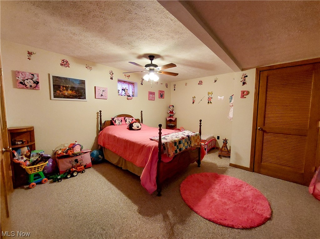 37176 Chestnut Ridge Road Barnesville, OH 43713 - Photo 14 of 29 Gallery Image 14