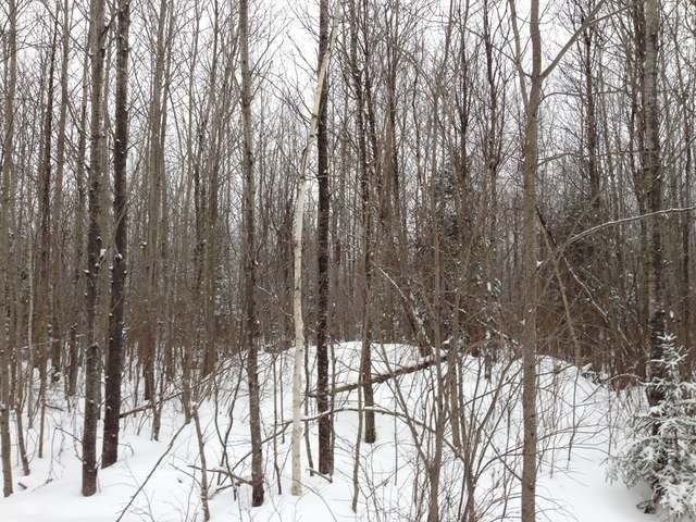 105-ac Pine Lake Road Minocqua, WI 54548 - Photo 21 of 25 Gallery Image 21