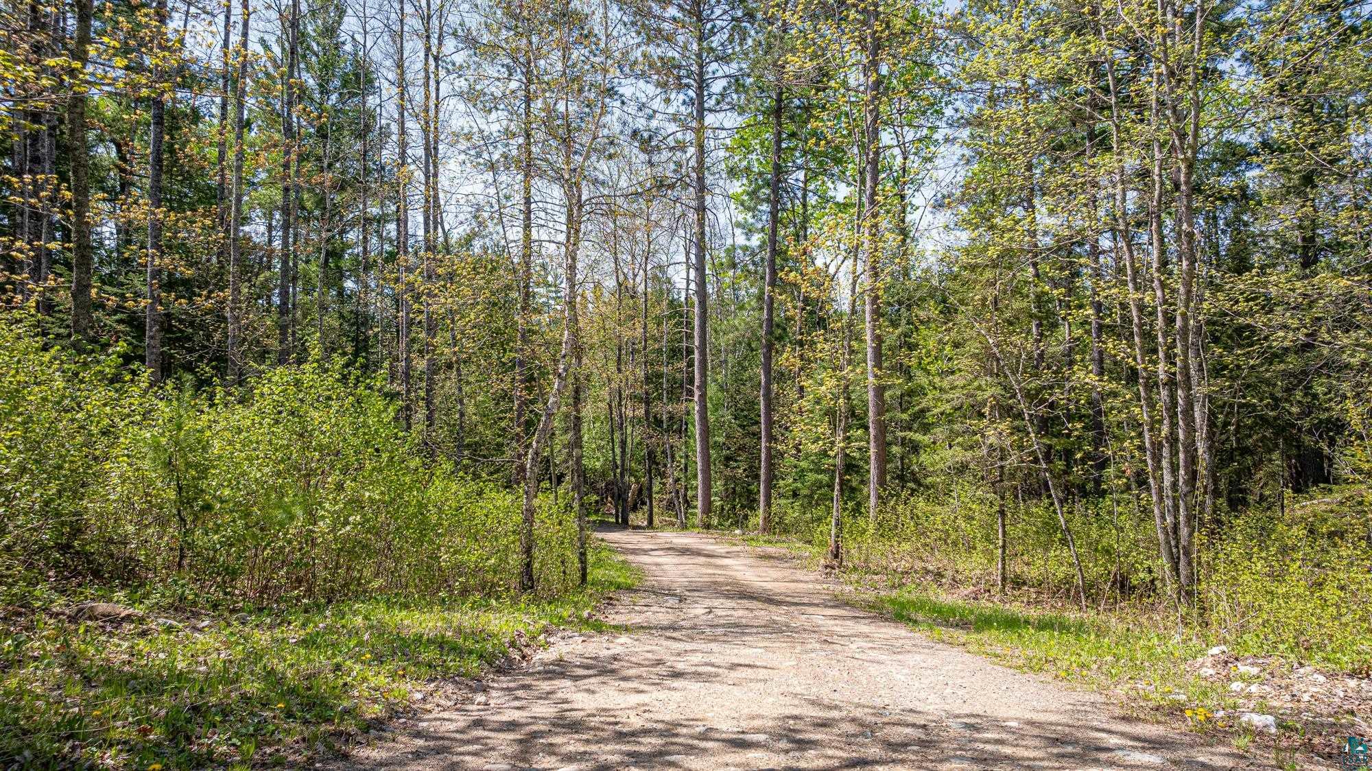 4151 Mud Creek Road Ely, MN 55731 - Photo 72 of 97