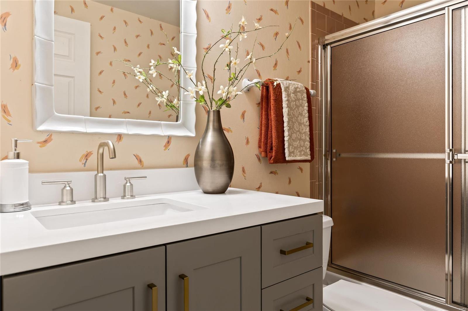 22 Balcon Estates St. Louis, MO 63141 - Photo 48 of 54