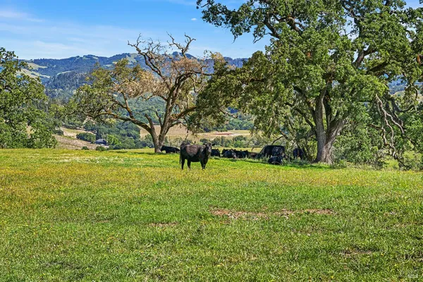 $7,500,000 | 5520 West Soda Rock Lane, Healdsburg, CA 95448