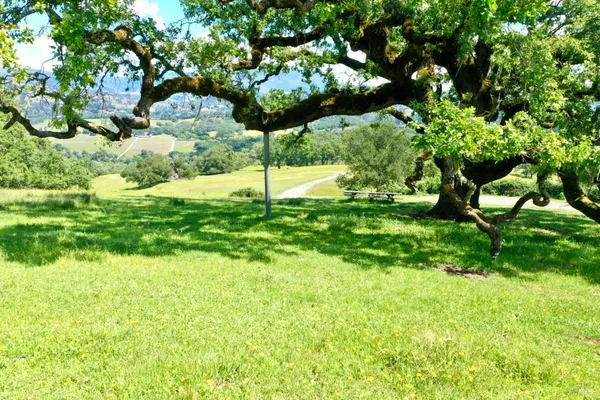 $7,500,000 | 5520 West Soda Rock Lane, Healdsburg, CA 95448
