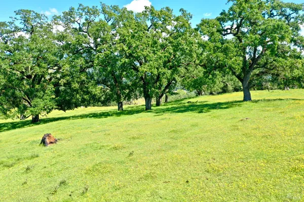 $7,500,000 | 5520 West Soda Rock Lane, Healdsburg, CA 95448