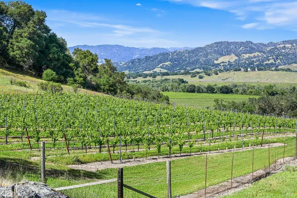 $7,500,000 | 5520 West Soda Rock Lane, Healdsburg, CA 95448