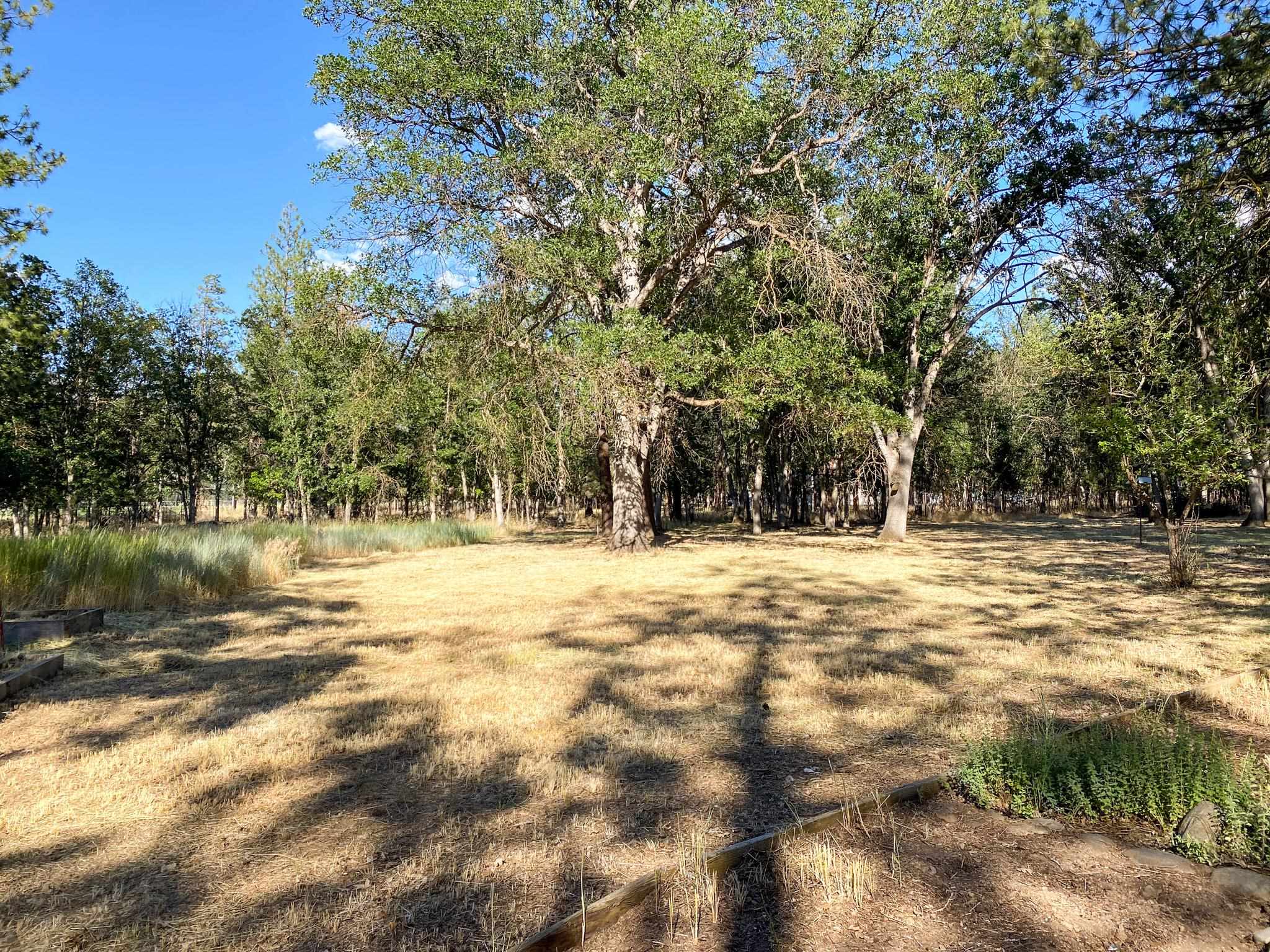 3502 Hartstrand Road Etna, CA 96027 - Photo 39 of 41 Gallery Image 39