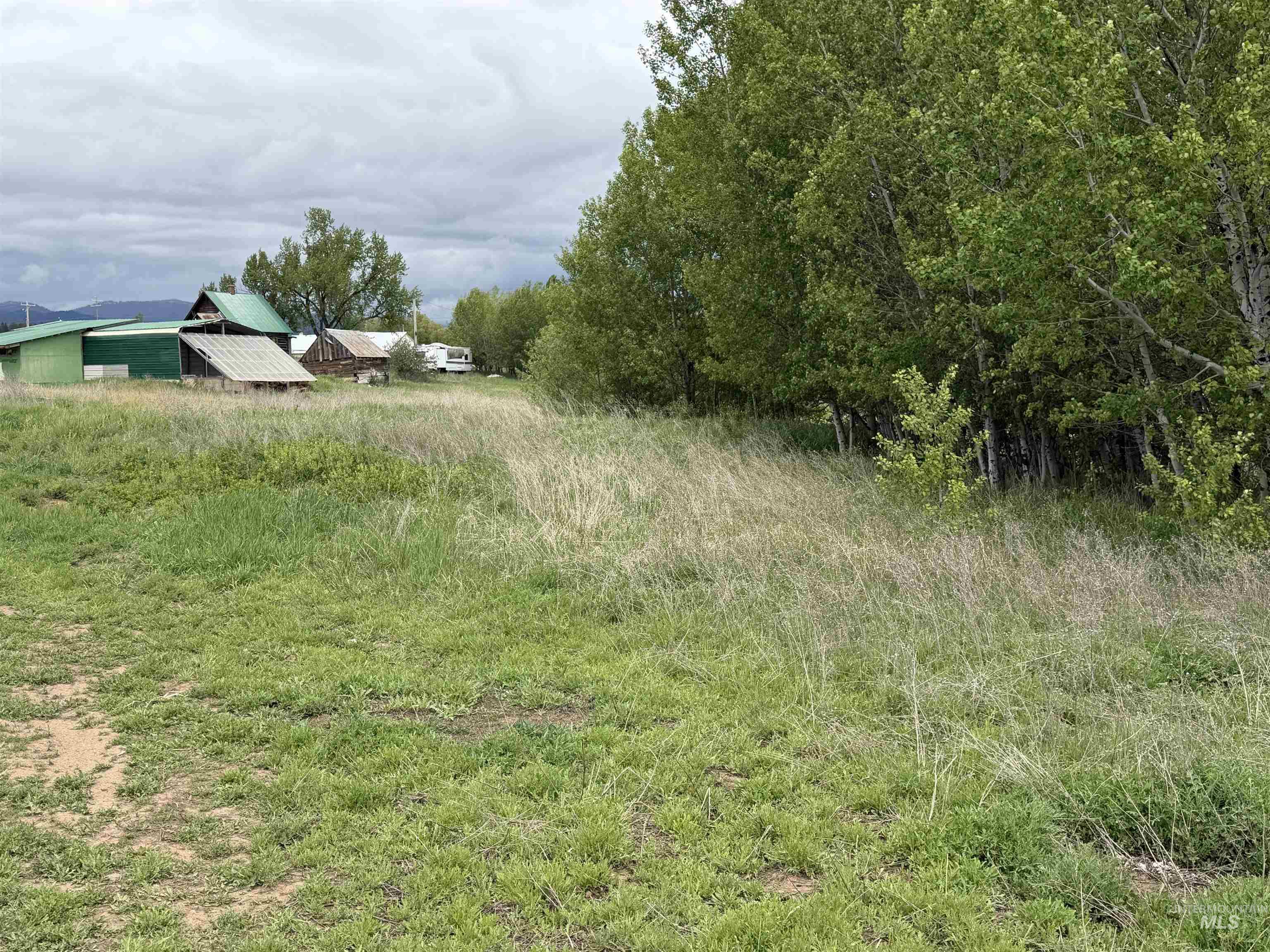 14031 Highway 55 McCall, ID 83638 - Photo 7 of 8
