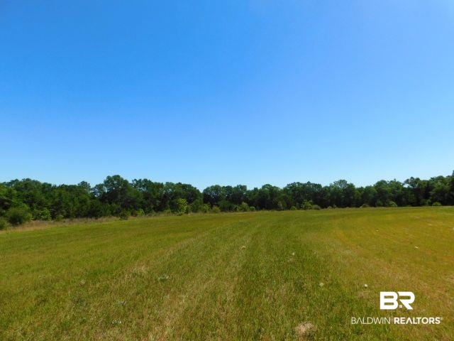 5884 A Saroadine Road Brewton, AL 36426 - Photo 10 of 16