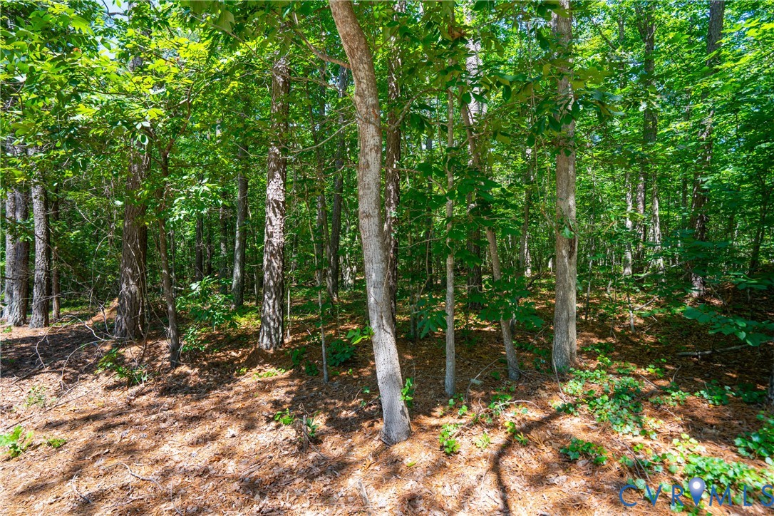 20118 River Road Chesterfield, VA 23838 - Photo 8 of 8