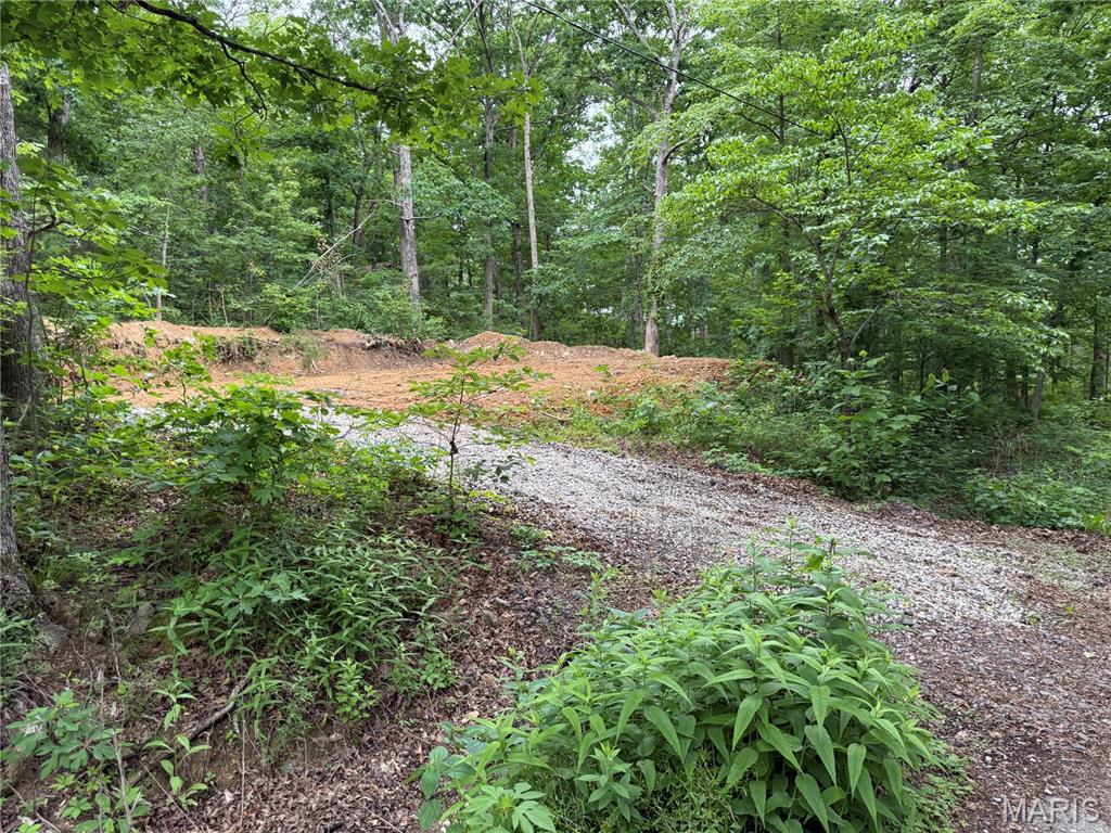 0 Lot 84 Mallard Road Middle Brook, MO 63656 - Photo 4 of 11