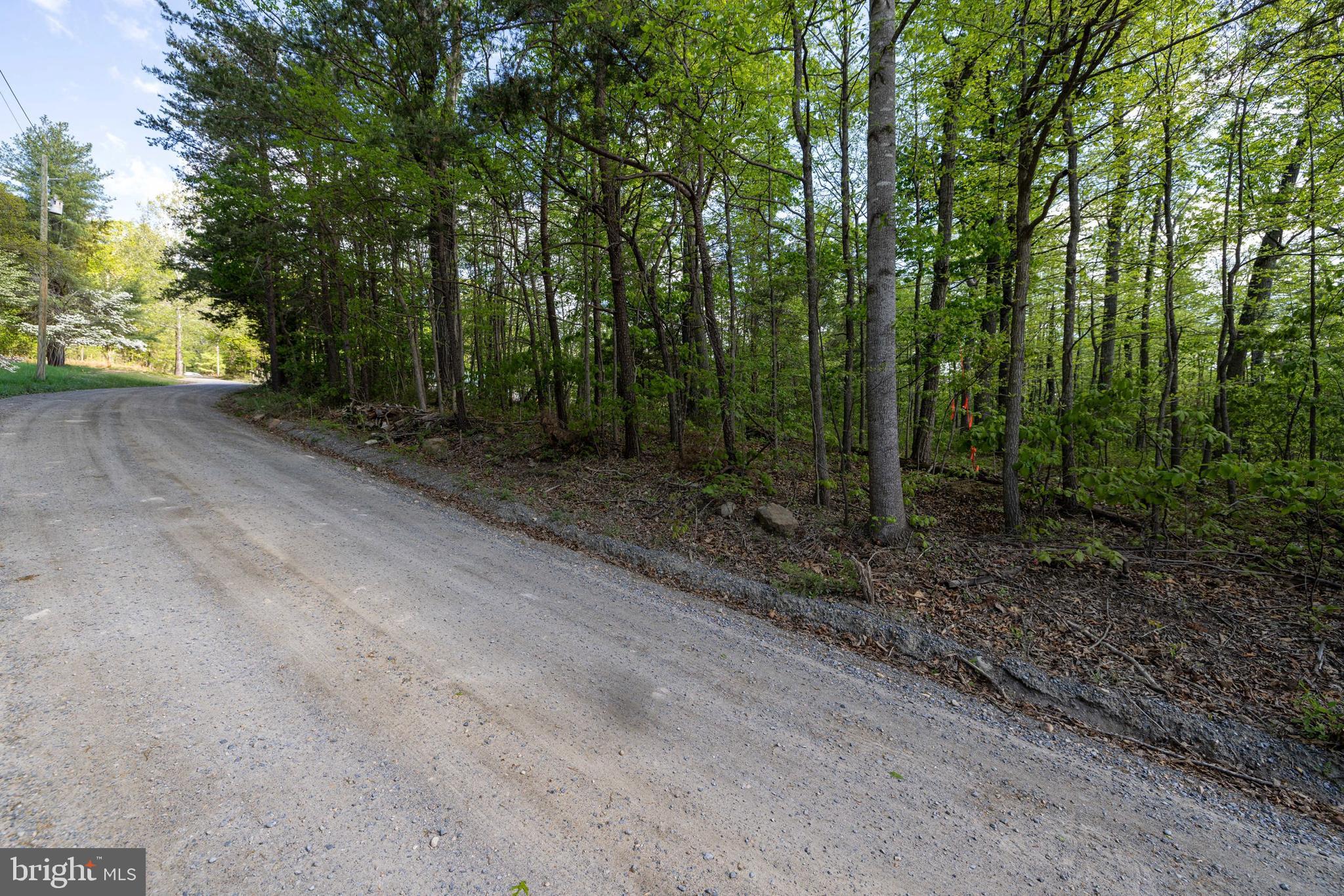 H49 Cross Creek Road Luray, VA 22835 - Photo 32 of 46 a view of a forest with trees in the background