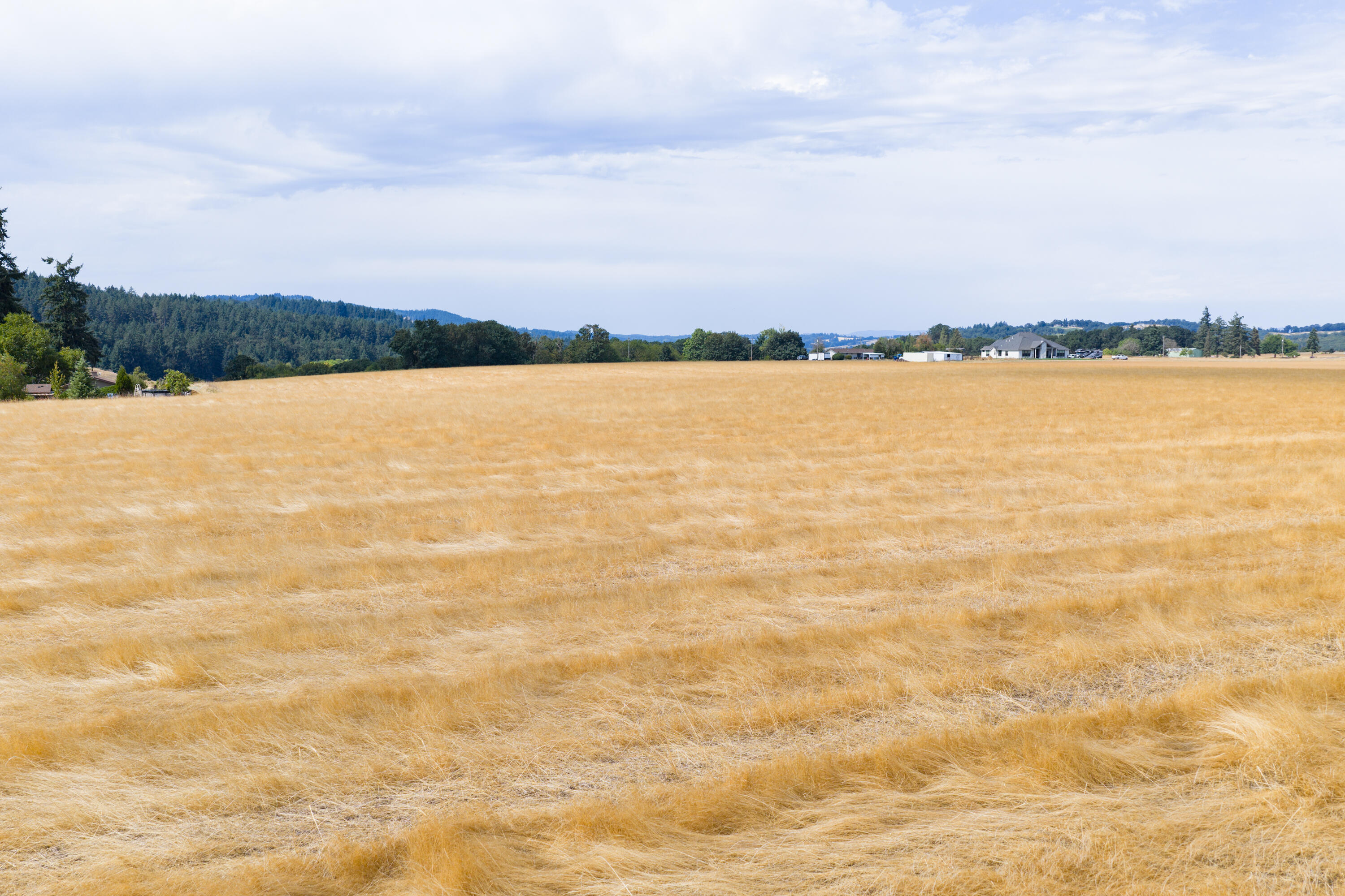 0 Dyck Road Dallas, OR 97338 - Photo 11 of 14 MIT-10