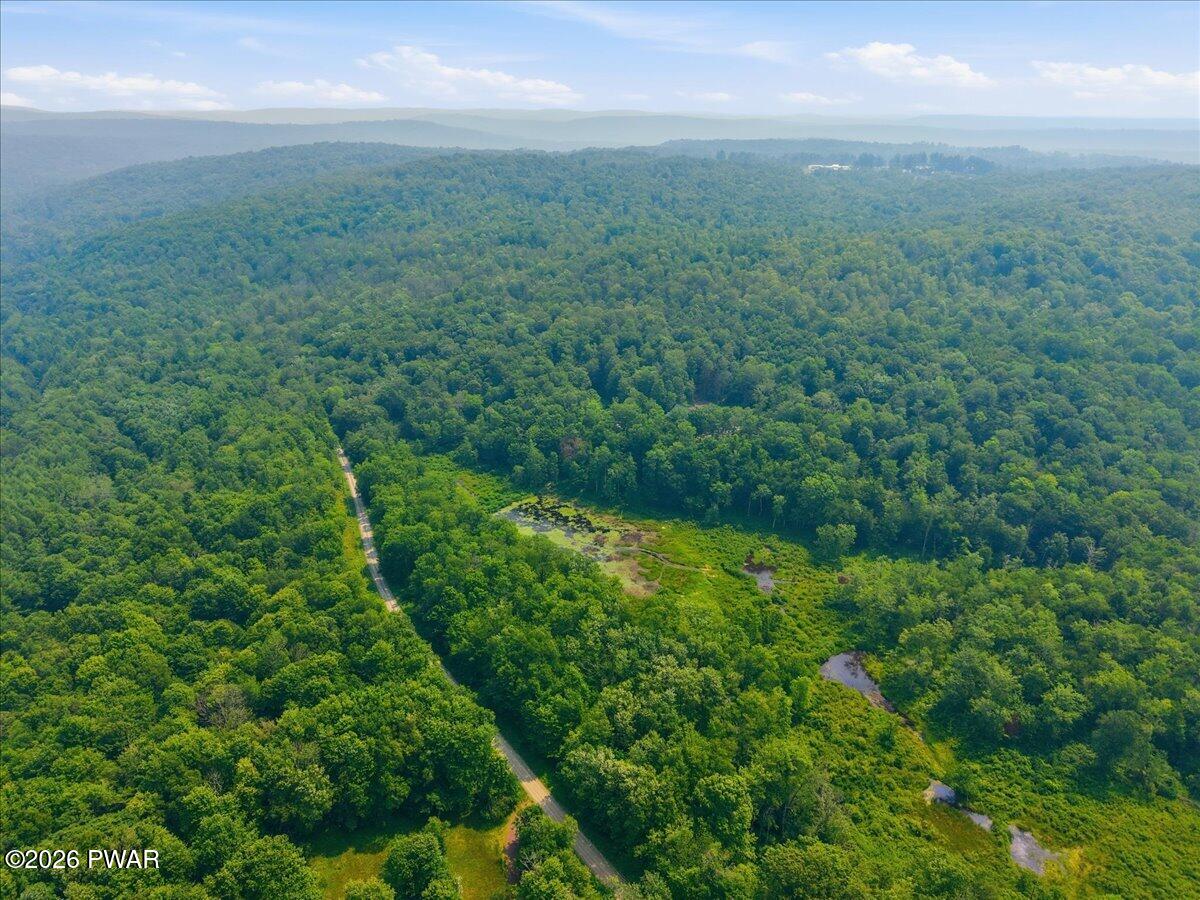 248 Moody Road Pleasant Mount, PA 18453 - Photo 81 of 100