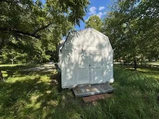 a view of a garden with a tree