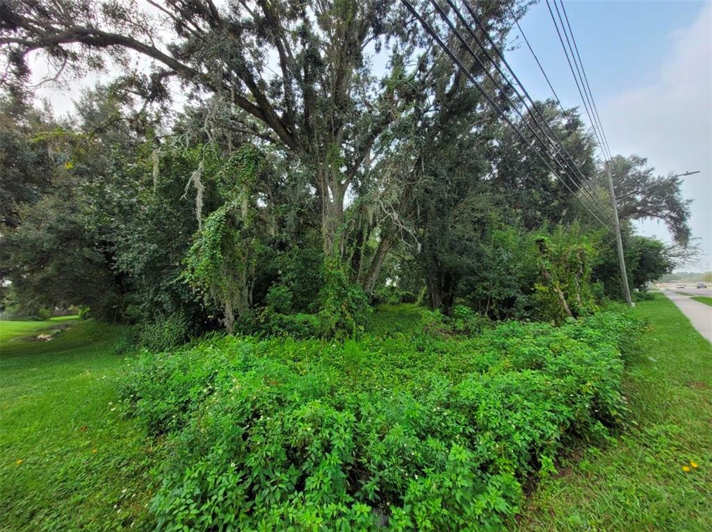 Curry Ford Road Orlando, FL 32822 - Photo 10 of 15