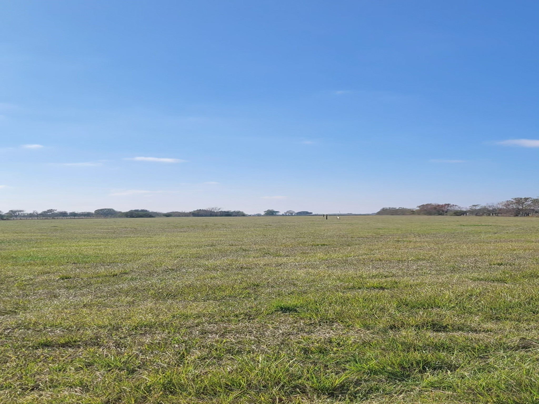 Tbd Beasley West End Road Rosenberg, TX 77471 - Photo 4 of 5 Gallery Image 4