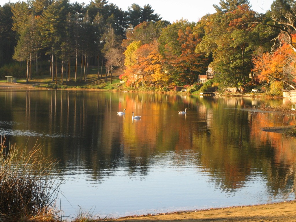 17 Knoll Road Wenham, MA 01984 - Photo 22 of 22 Gallery Image 22