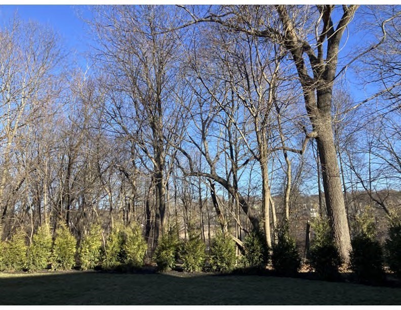 39 Rindge Avenue Lexington, MA 02420 - Photo 32 of 33