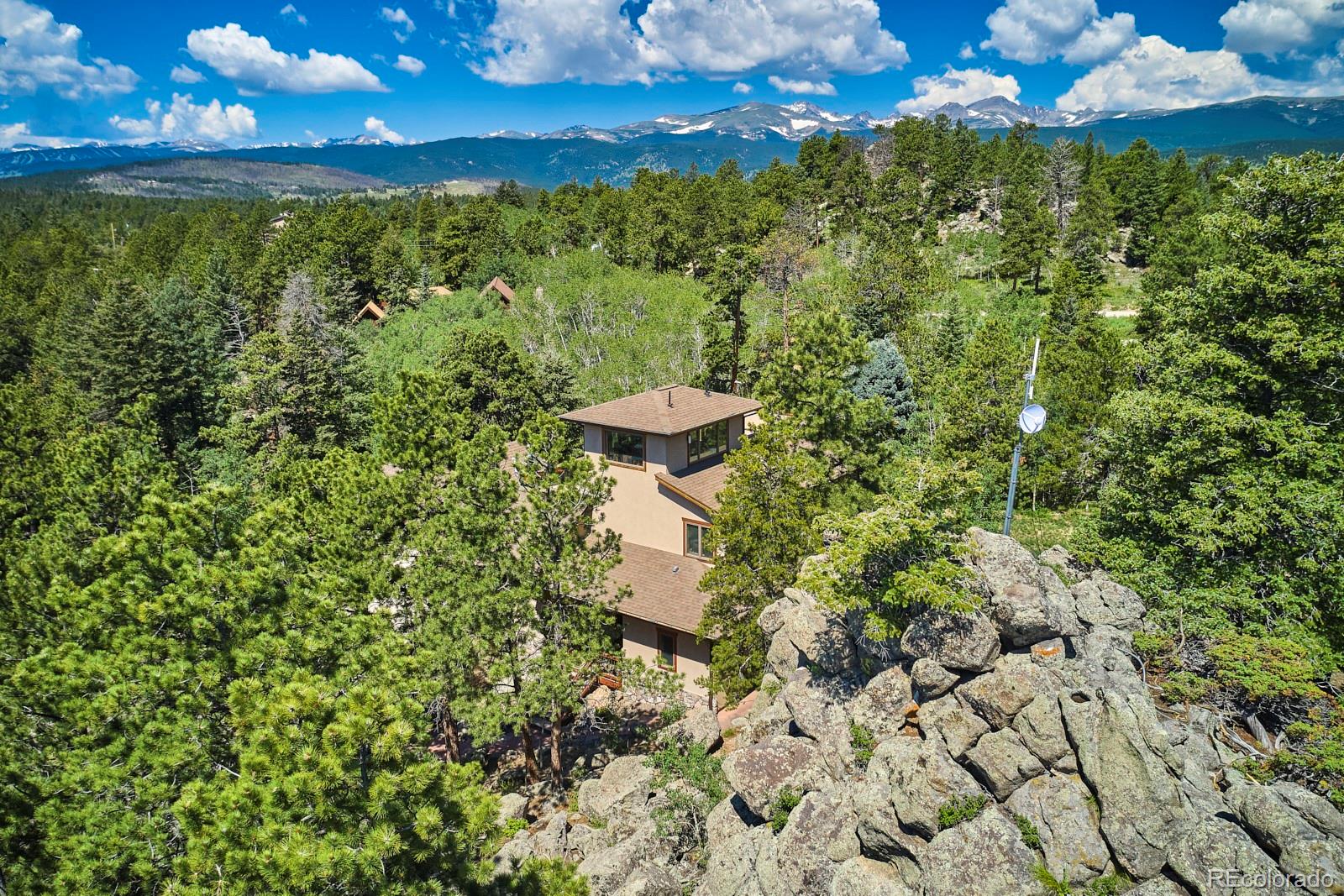 3589 Ridge Road Nederland, CO 80466 - Photo 36 of 40 a view of a yard with plants and large tree