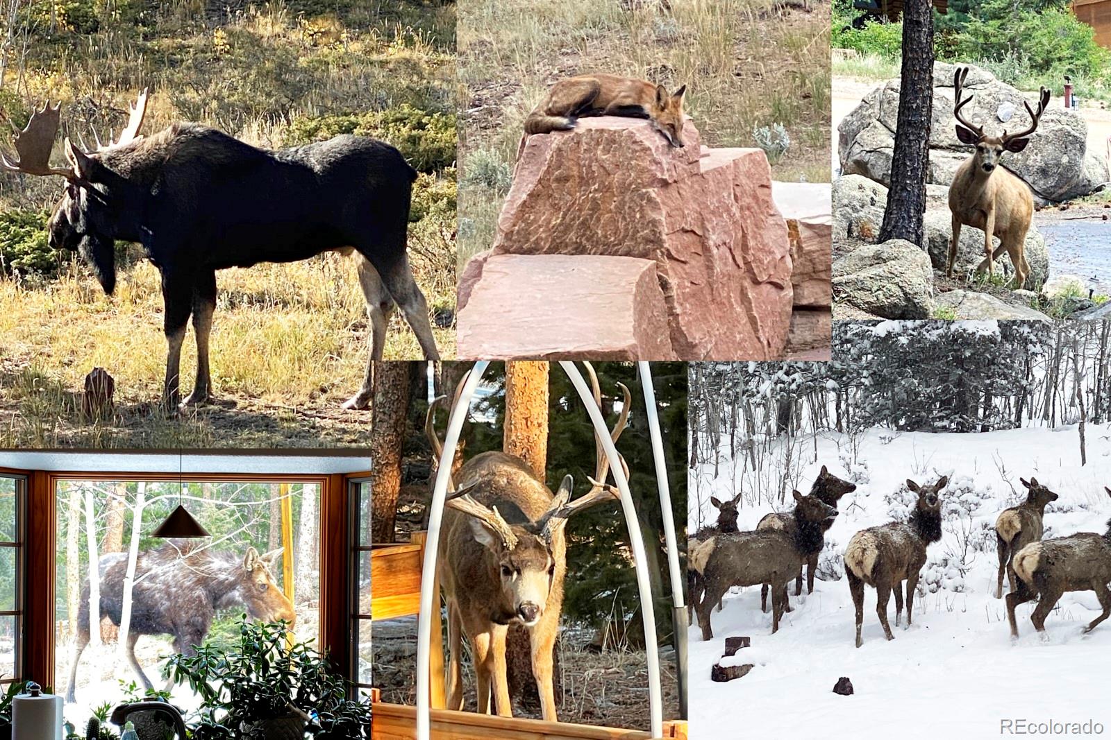 3589 Ridge Road Nederland, CO 80466 - Photo 39 of 40 an outdoor space with furniture