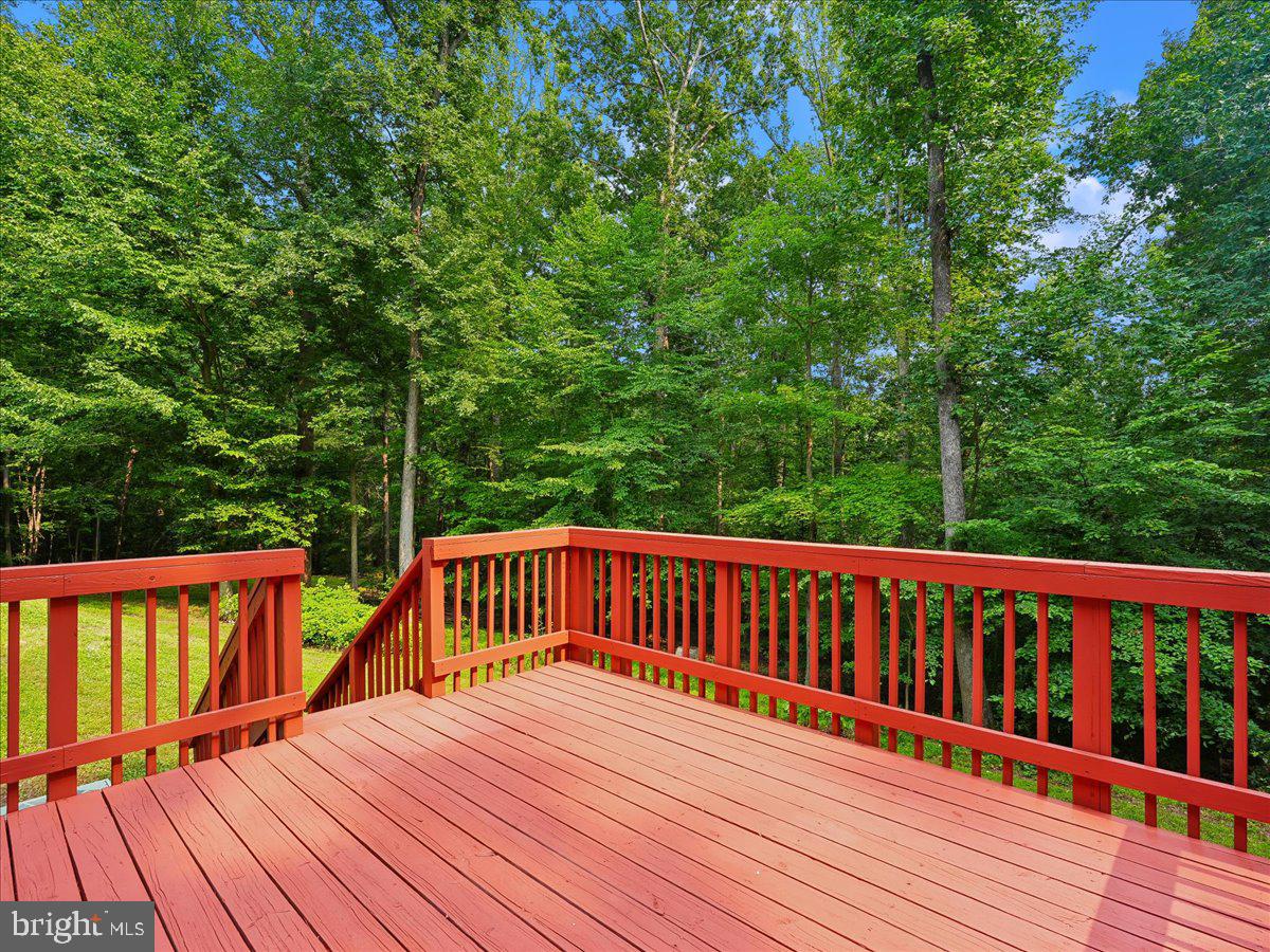 8253 Honeysuckle Road Manassas, VA 20112 - Photo 11 of 15 Serene deck nestled in lush greenery.
