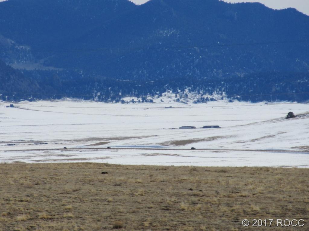 5603 Jackson Road Hartsel, CO 80449 - Photo 5 of 5