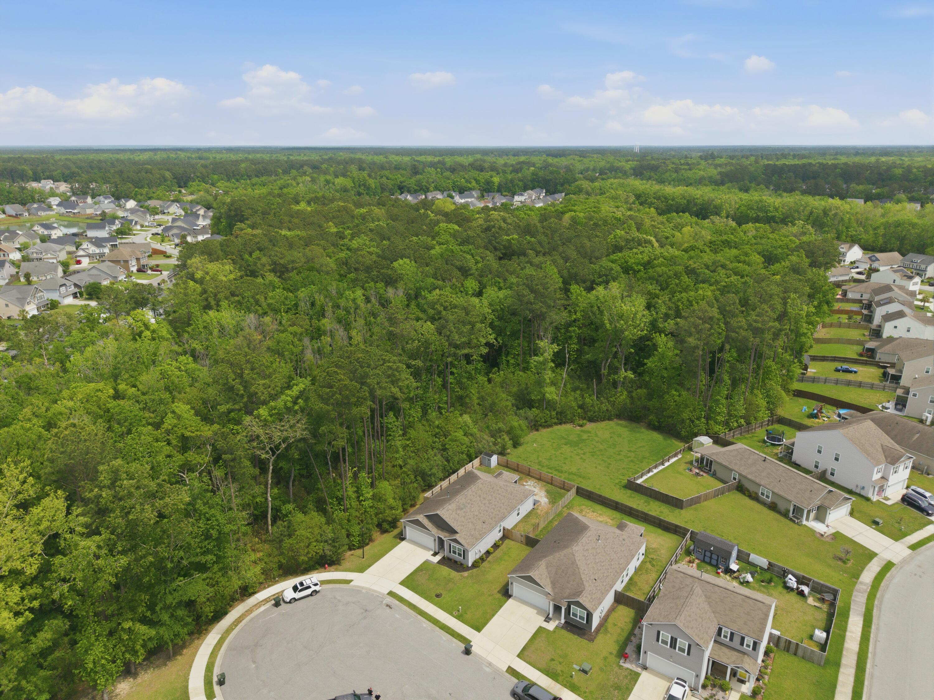 342 Knawl Road Moncks Corner, SC 29461 - Photo 42 of 50 Green Space Two Sides