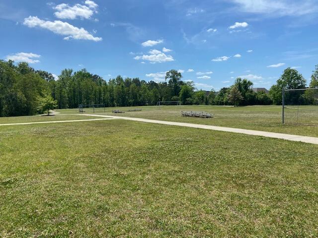 342 Knawl Road Moncks Corner, SC 29461 - Photo 46 of 50 Playing Fields