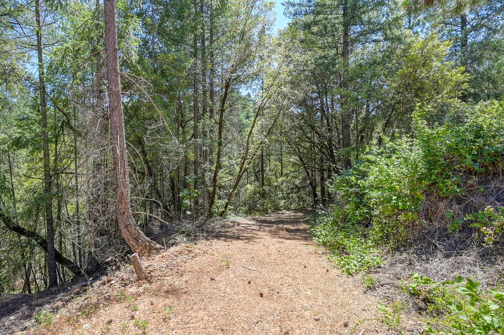 23505 Grand View Way Colfax, CA 95713 - Photo 26 of 32