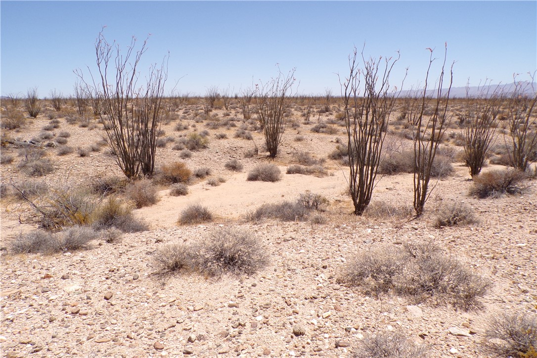 245-24-140 Ray Road Yucca, AZ 86438 - Photo 11 of 19 a view of a yard