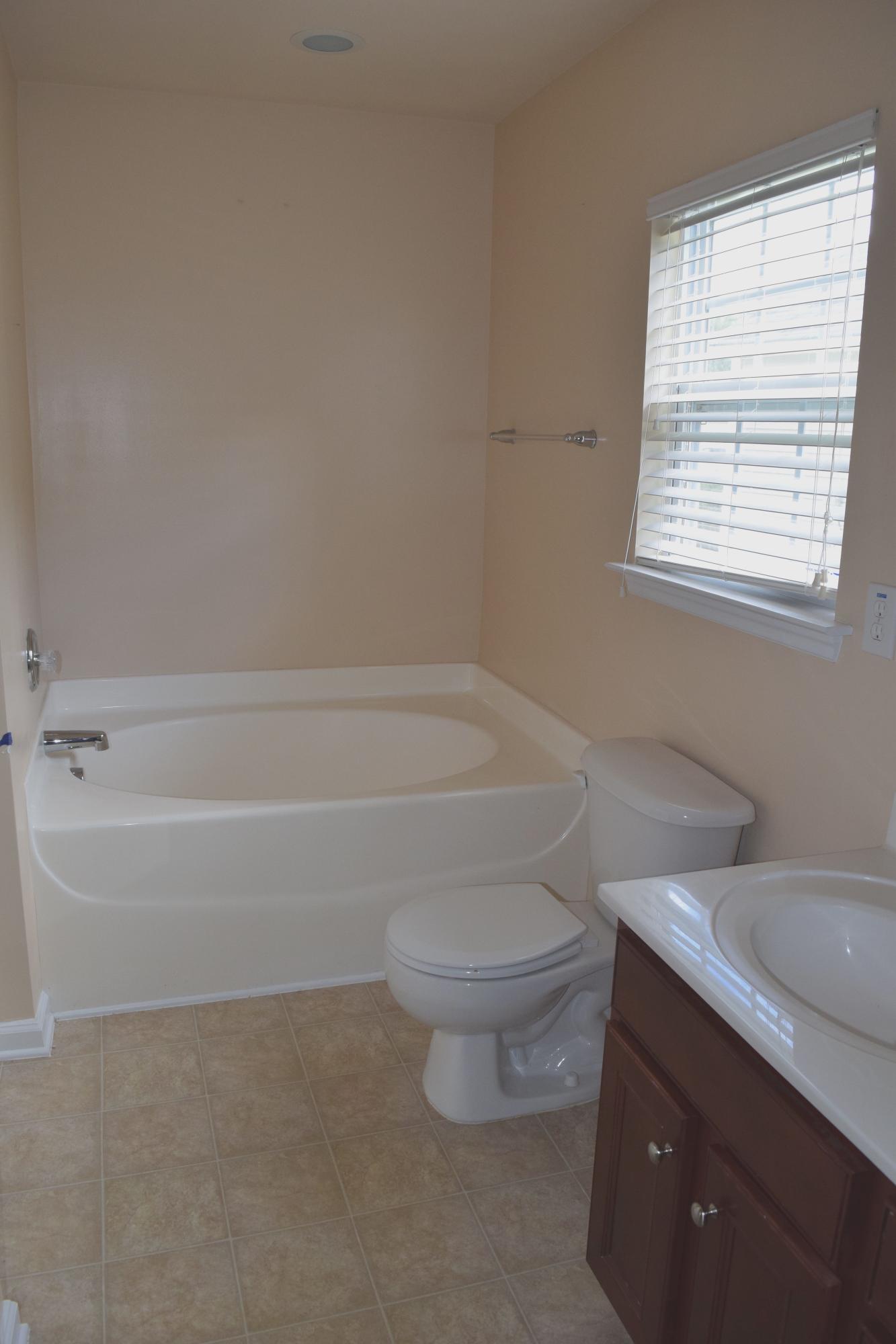 331 Briarbend Road Goose Creek, SC 29445 - Photo 11 of 18 Master Bath Tub