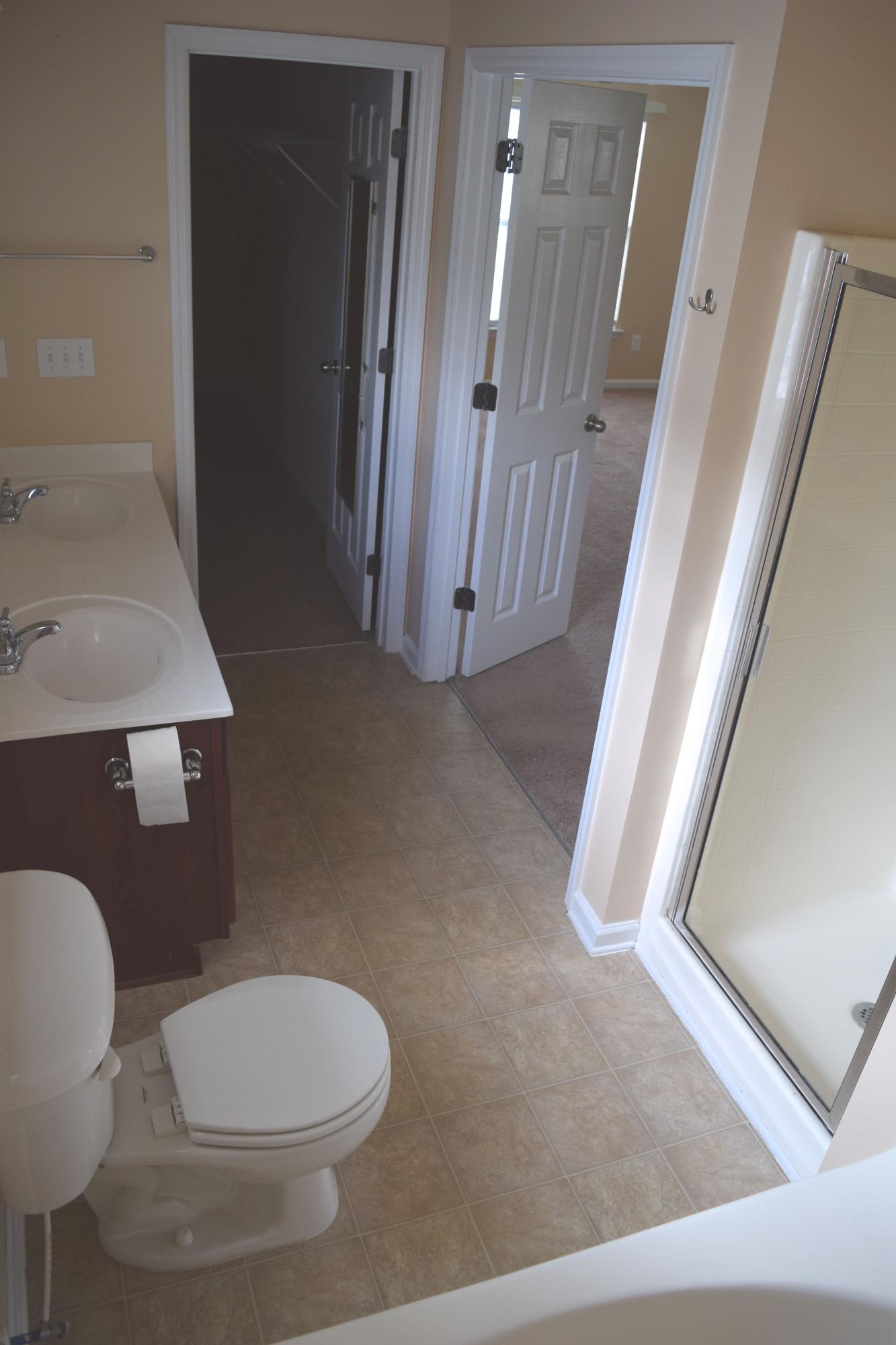 331 Briarbend Road Goose Creek, SC 29445 - Photo 10 of 18 Master Bath
