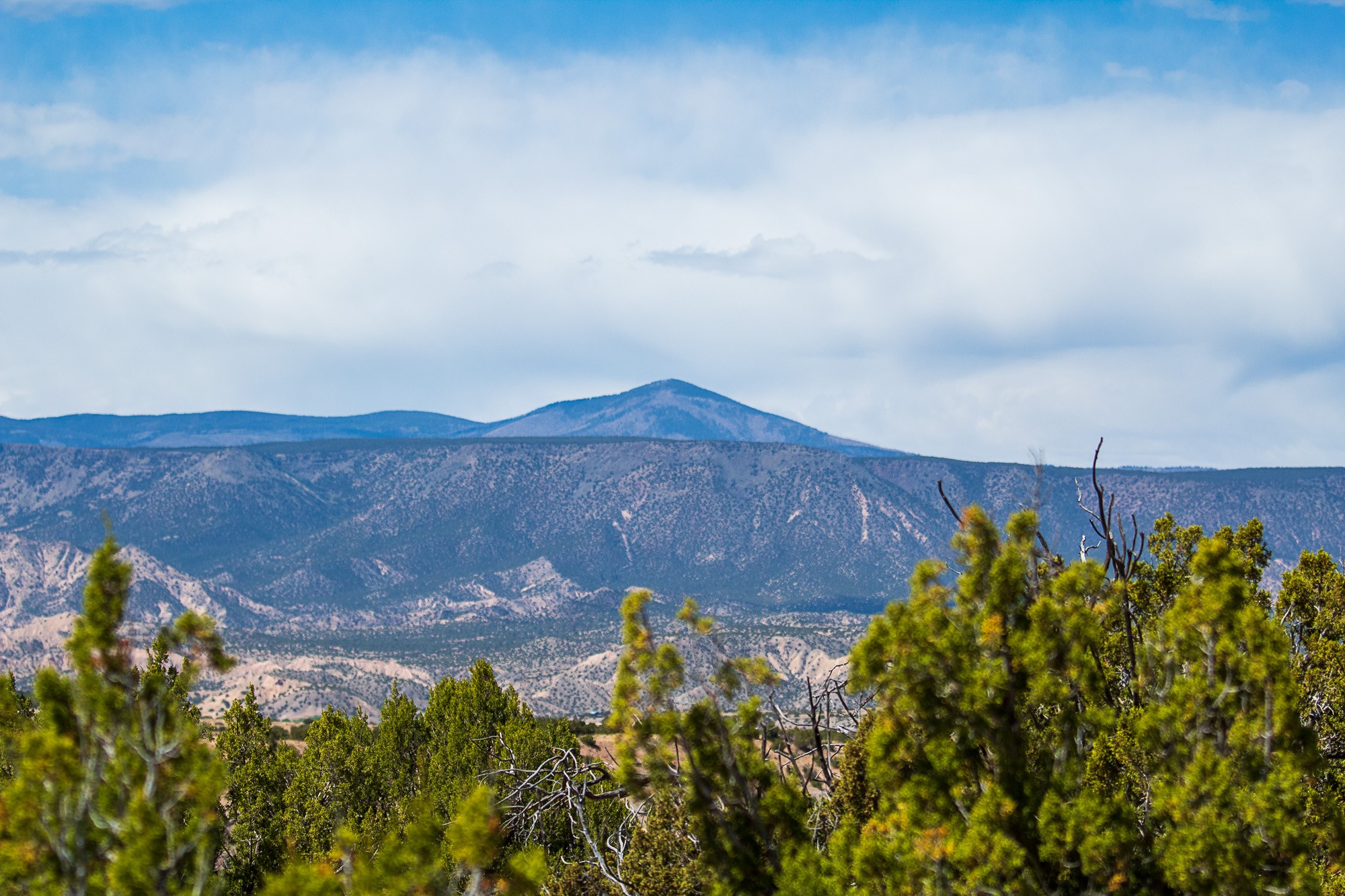 0 El Rito Estates Abiquiu, NM 87510 - Photo 7 of 56