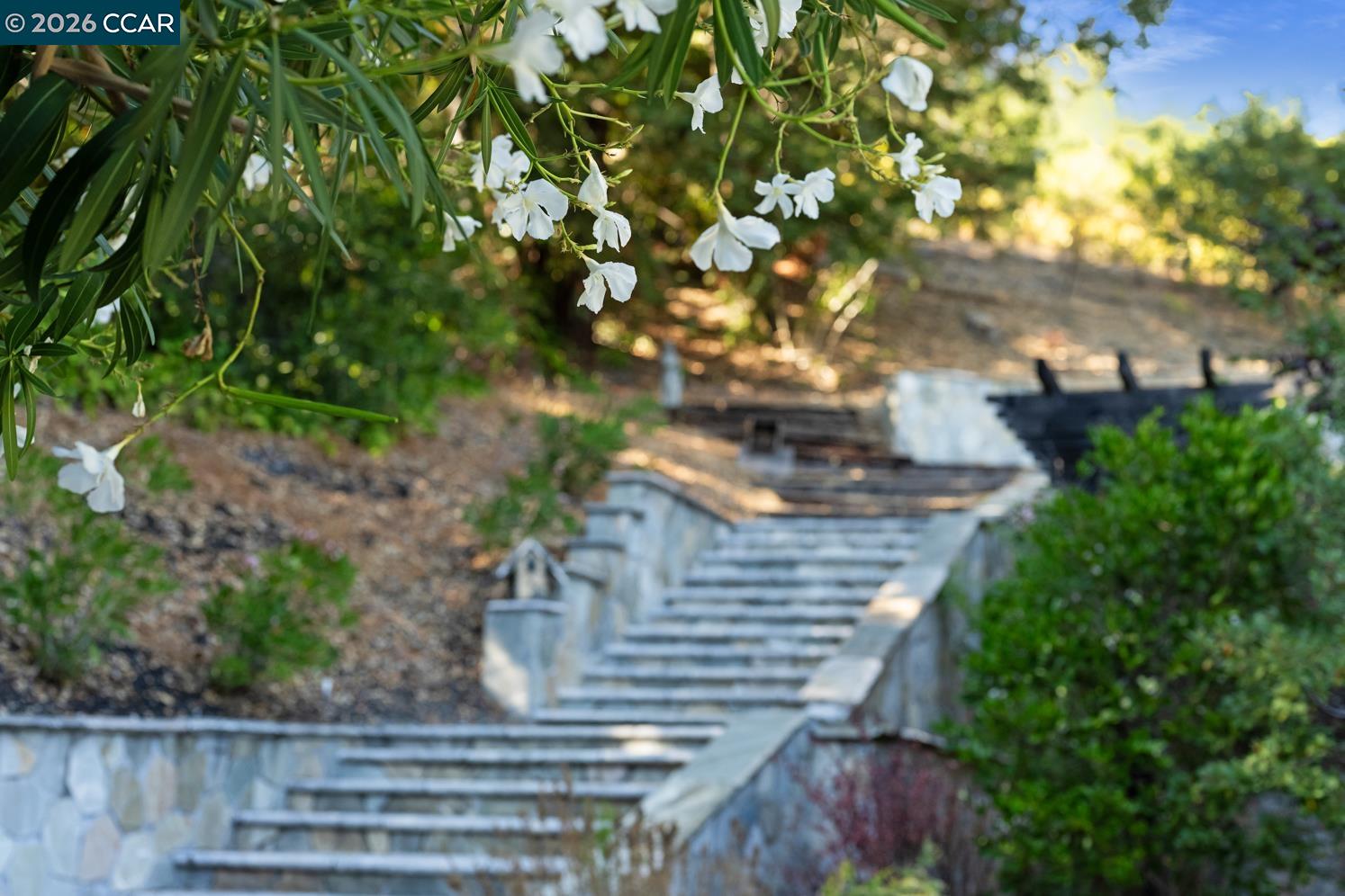 3898 Happy Valley Road Lafayette, CA 94549 - Photo 29 of 60