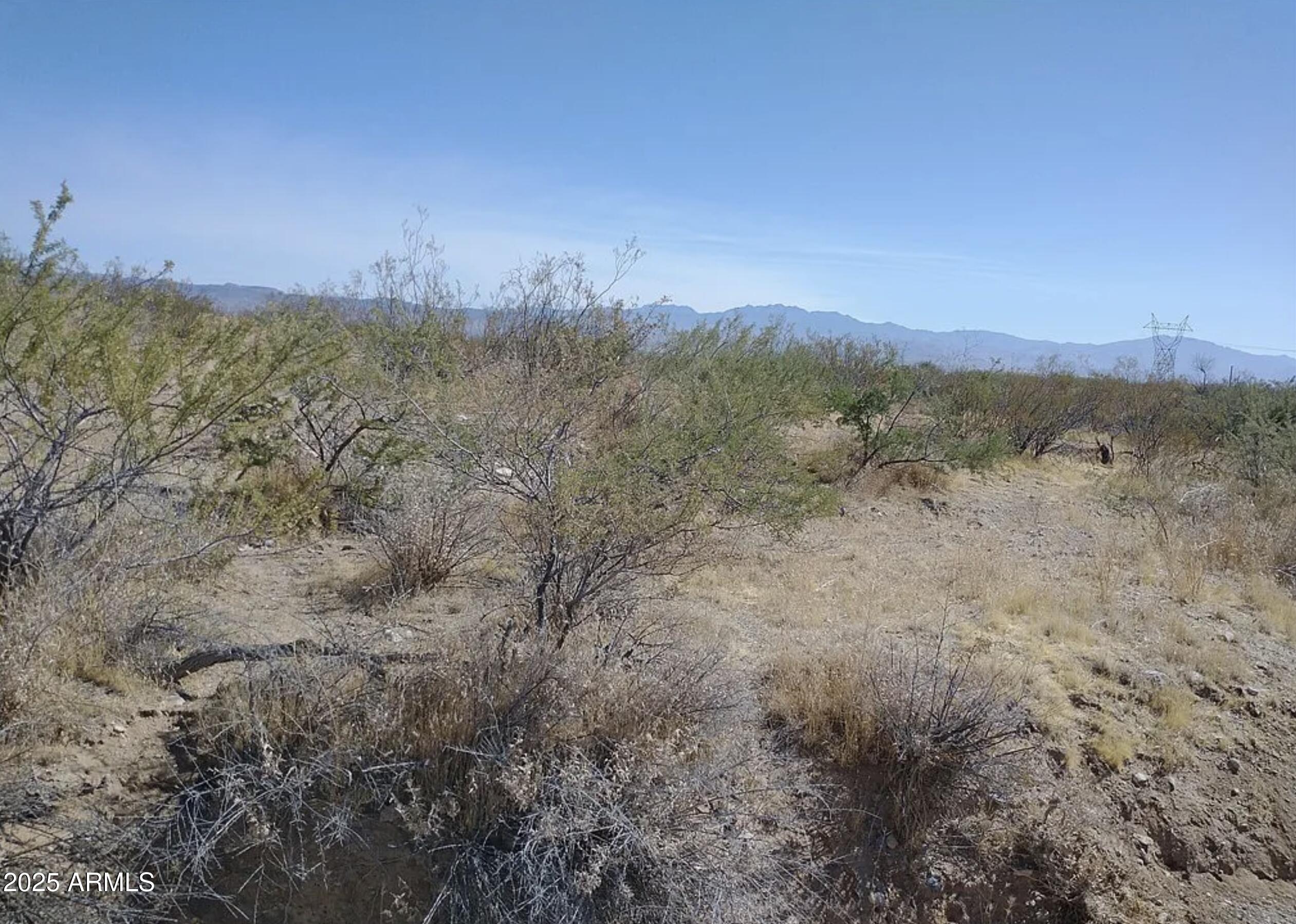 1949 South Eden Road Golden Valley, AZ 86413 - Photo 7 of 10 a view of a city with lush green forest