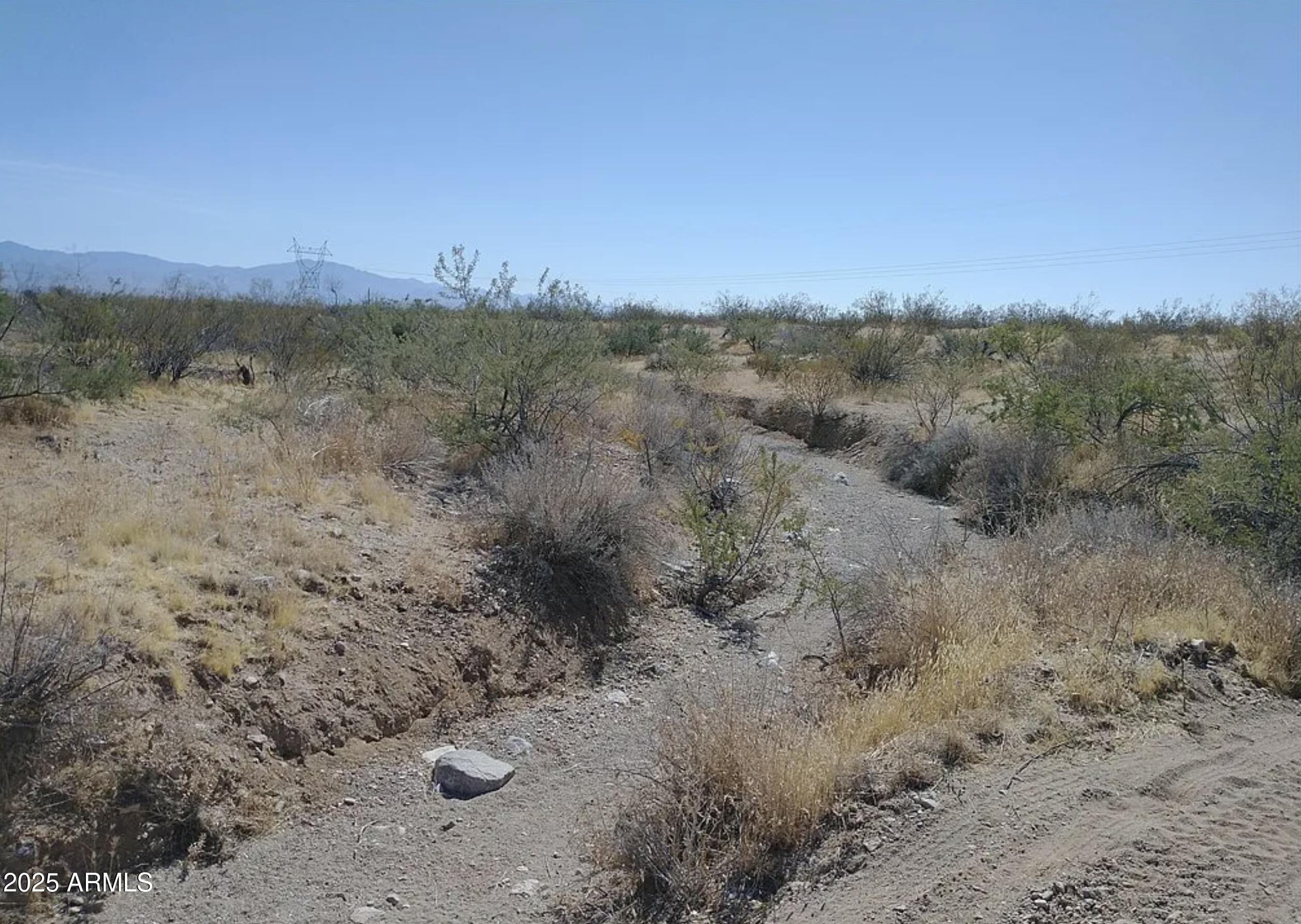 1949 South Eden Road Golden Valley, AZ 86413 - Photo 10 of 10 a view of a dry yard with lots of trees