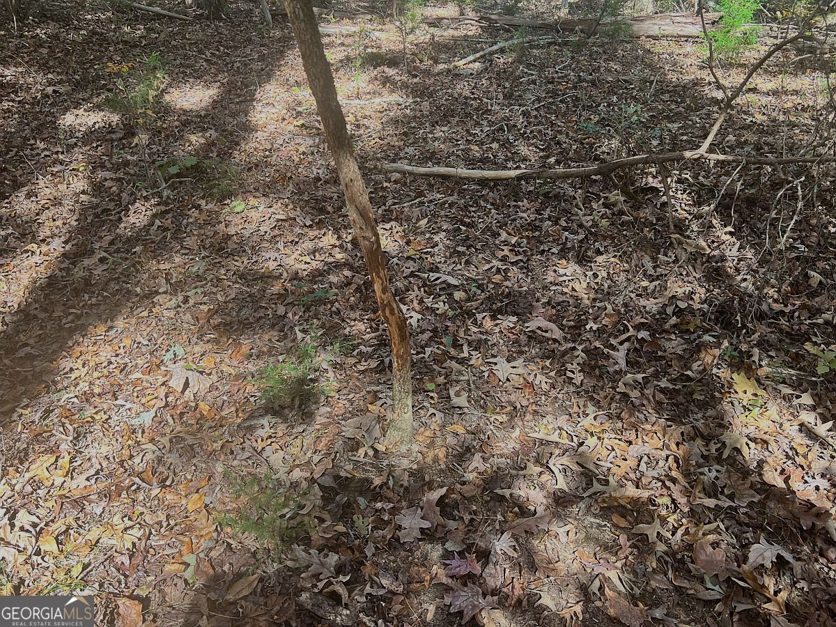 17.86-ac Pine Ridge Drive Elberton, GA 30635 - Photo 6 of 17 Gallery Image 6