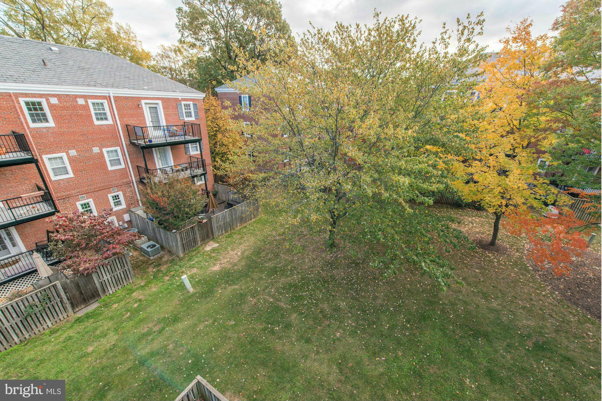 4904 29th Road South, Unit C2 Arlington, VA 22206 - Photo 19 of 24 Beautiful view of Fairlington's famed green spaces