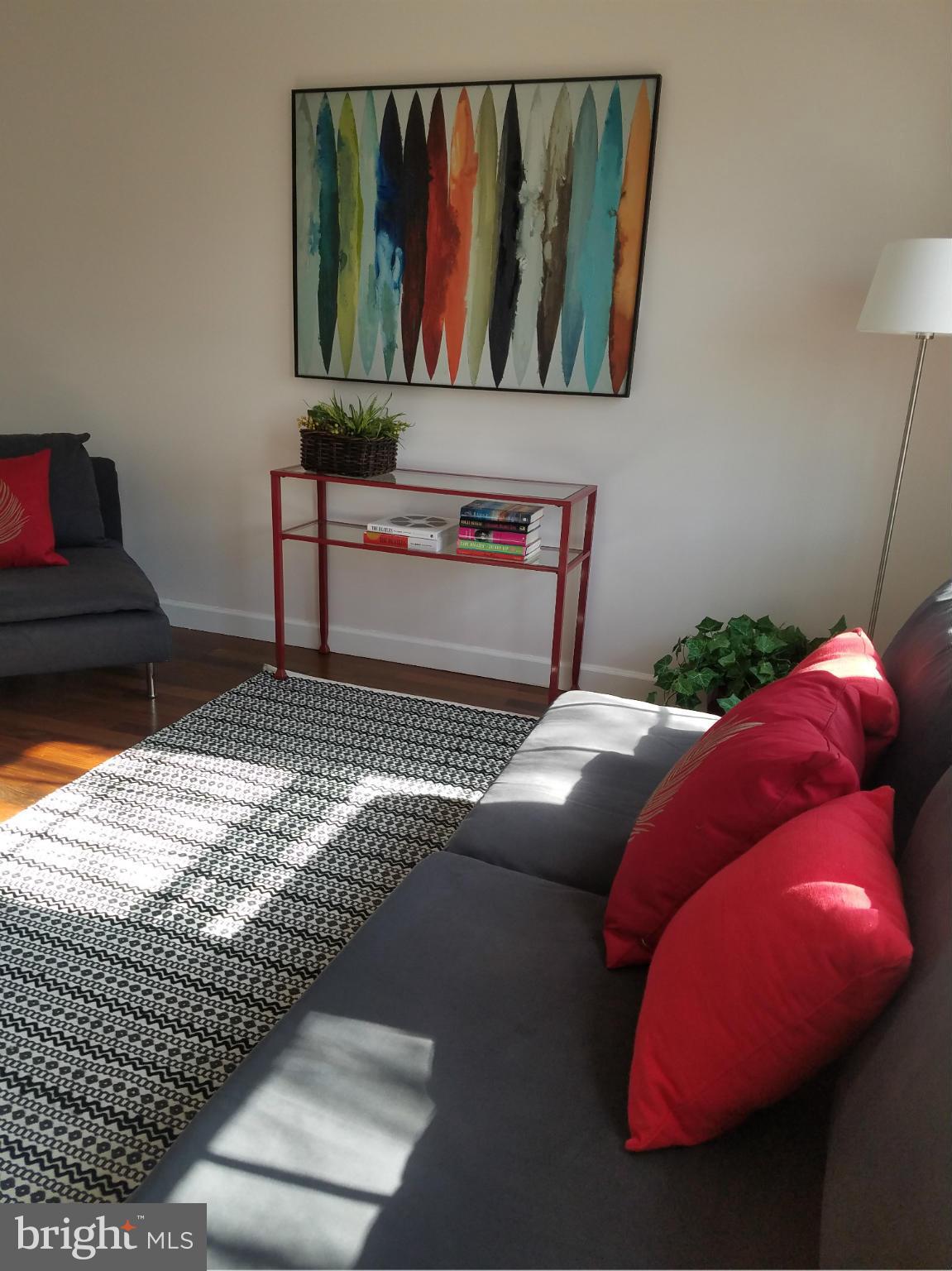4904 29th Road South, Unit C2 Arlington, VA 22206 - Photo 4 of 24 Beautiful light-filled family room